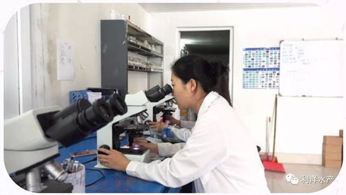 系统检测与精准服务 商务秘书赋能水产养殖迈向可控新纪元